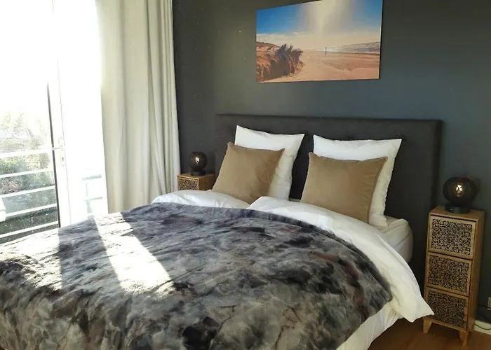 Duinzand 埃赫蒙德·安登胡夫